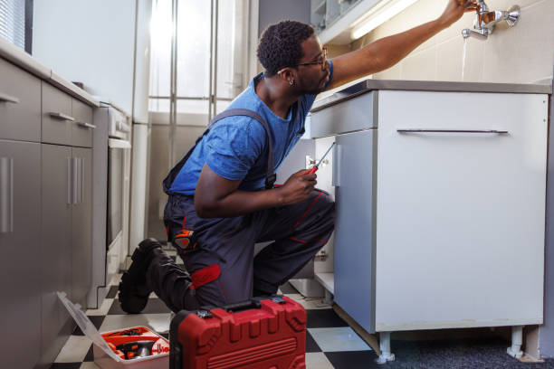 Best Commercial Plumbing Services  in West Hammond, NM